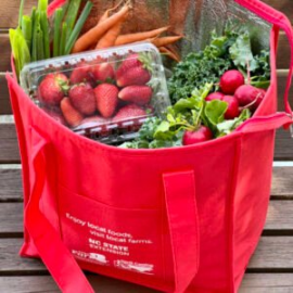 Large VSA Bag