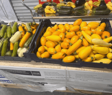 food-pantry1