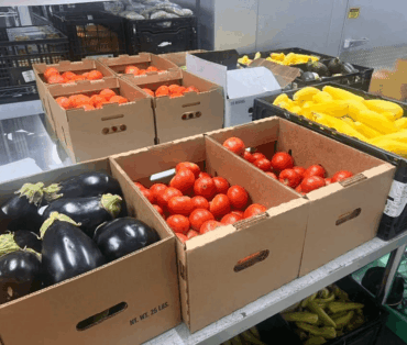 food-pantry3