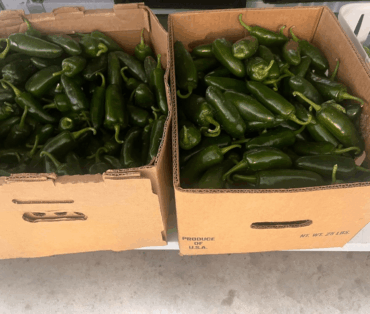 food-pantry4